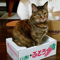 もる