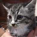 里親さん決めさせて頂きました（＾_＾）
