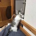 天真爛漫、元気いっぱい雨音くん