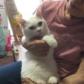 アイ  9才 メス