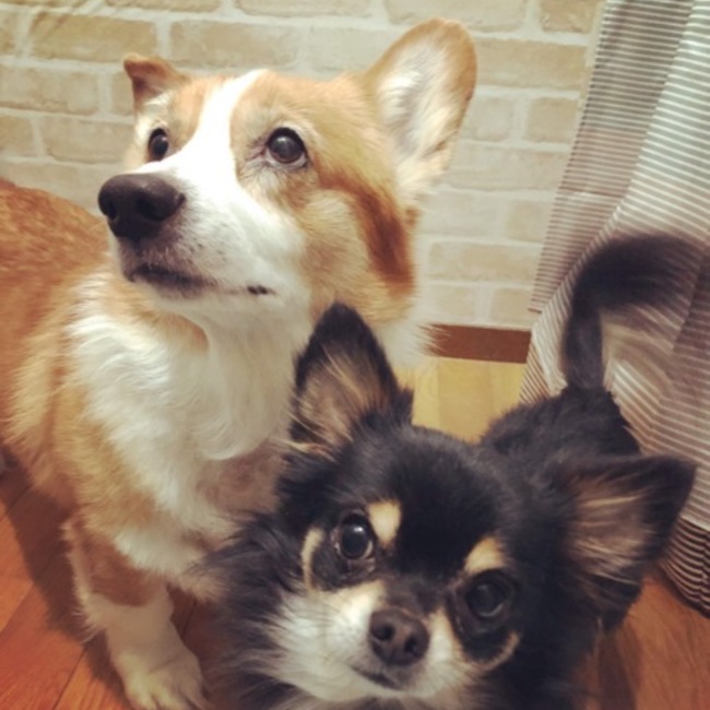 ケンセイのカバー写真