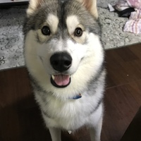 エド