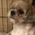 由真 chan ❤️ 推定8歳