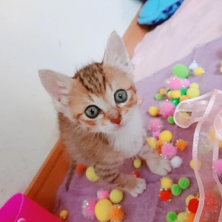 元気いっぱい！『スー君』♂