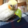 ゆう04010808