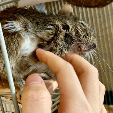 の写真