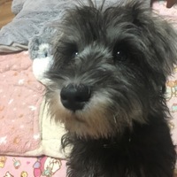 りりちゃん