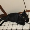 の写真