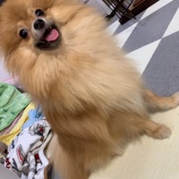 まめ