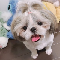 まり