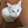 るるひぃ