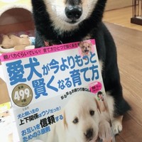 サチ