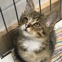 アンちゃん、馴れ馴れです