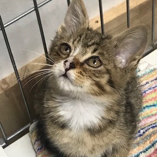 アンちゃん、馴れ馴れです
