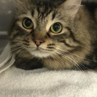 7/27Terra里親会に参加❣️