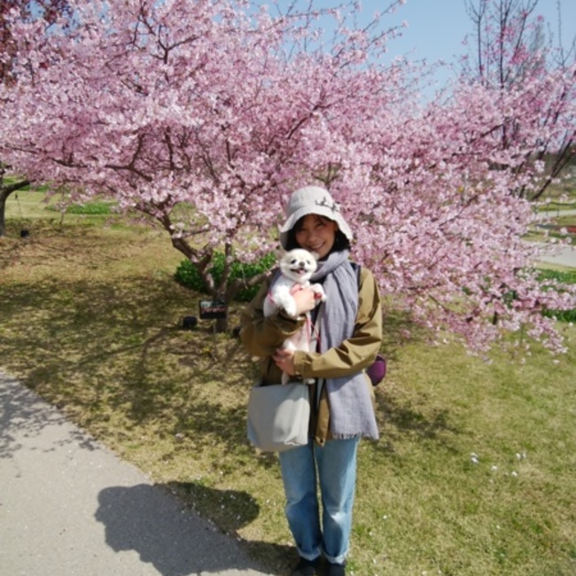 hanamarcoのカバー写真