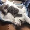 体が大きくて、ベッドからはみ出ている(^ω^;)