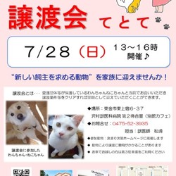 保護犬猫譲渡会『てとて』