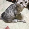 の写真