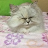 の写真