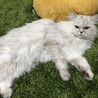 の写真