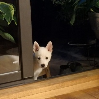 ☆素敵な家族ができました☆