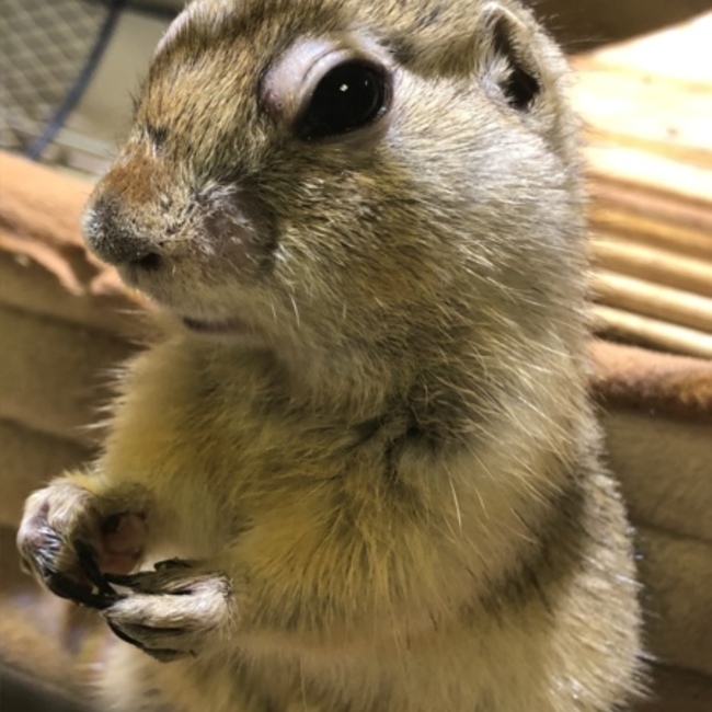 りちゃそんのカバー写真