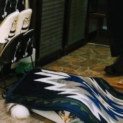 新しい遊びと置いてけぼり