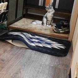 「新しい遊びと置いてけぼり」サムネイル2