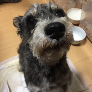 現在新規の応募を中止しております。