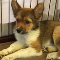 とてもいいご縁がありました。