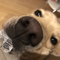 くぅ