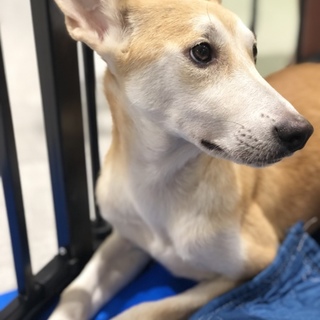 サティ chan ❤️ 