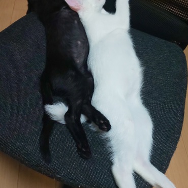 同じポーズ！！