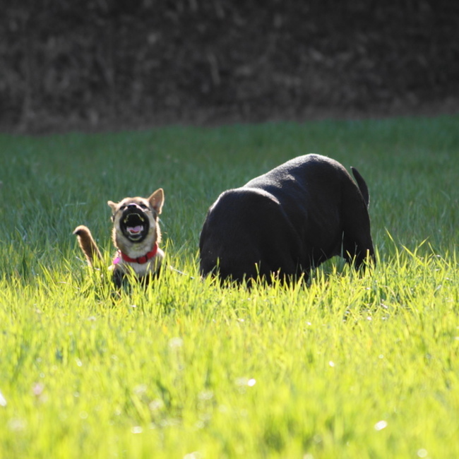 トマークスのカバー写真