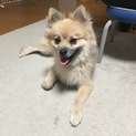 2歳の男の子