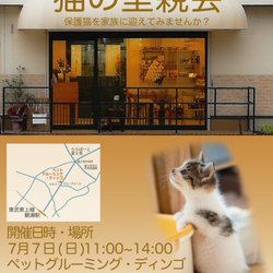 埼玉県富士見市    猫の里親会