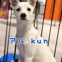 アル kun ⭐︎ ５ヶ月