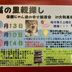 保護にゃん達の幸せ譲渡会