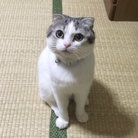 かんきち