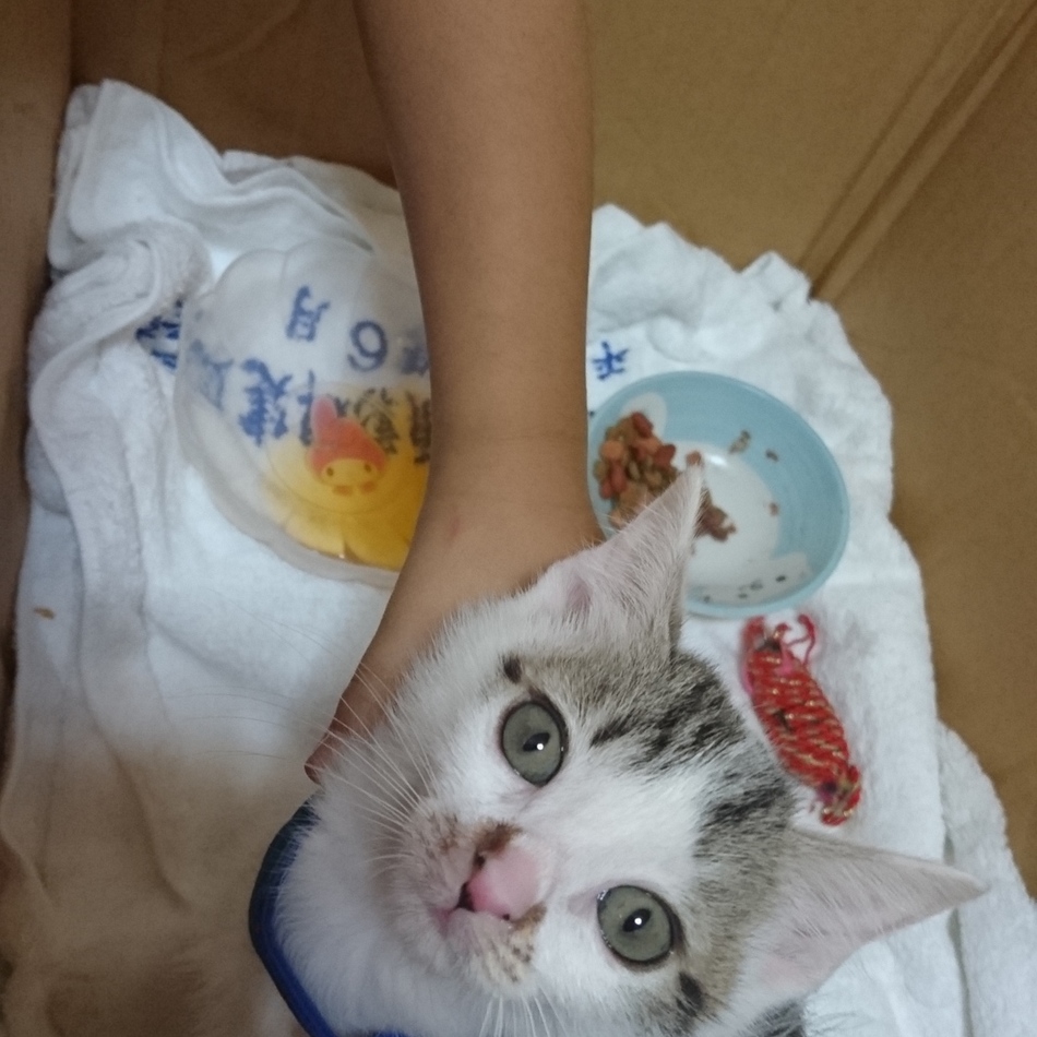 朔太朗のカバー写真