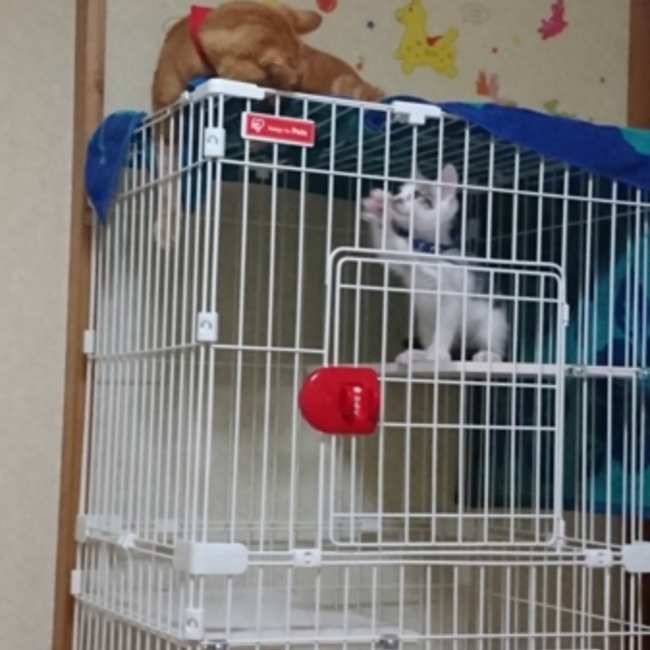 RTMのカバー写真