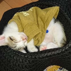 また家族が増えました。