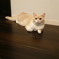 やまざきこじろう