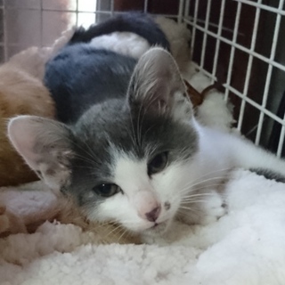 ありがとうございました！