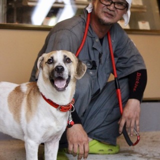 パパと僕はずーっと一緒にいるんだよ！名前はコリン