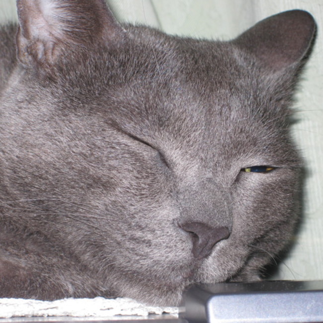 suzumamaのカバー写真