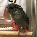 ご応募ありがとうございました。