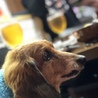 たけ西保