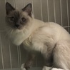 トライアル決定しました！ サムネイル4